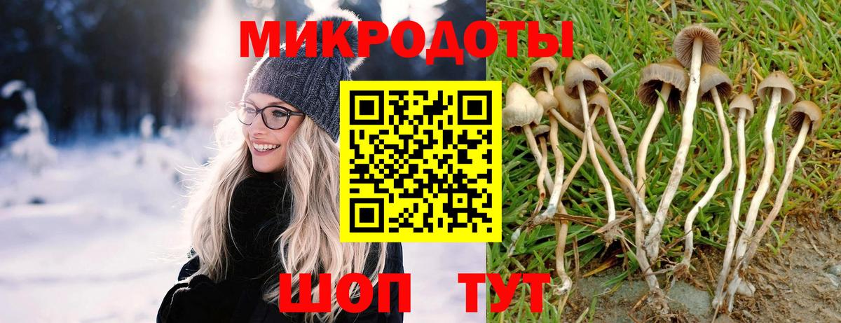 Псилоцибиновые грибы Magic Shrooms Углич
